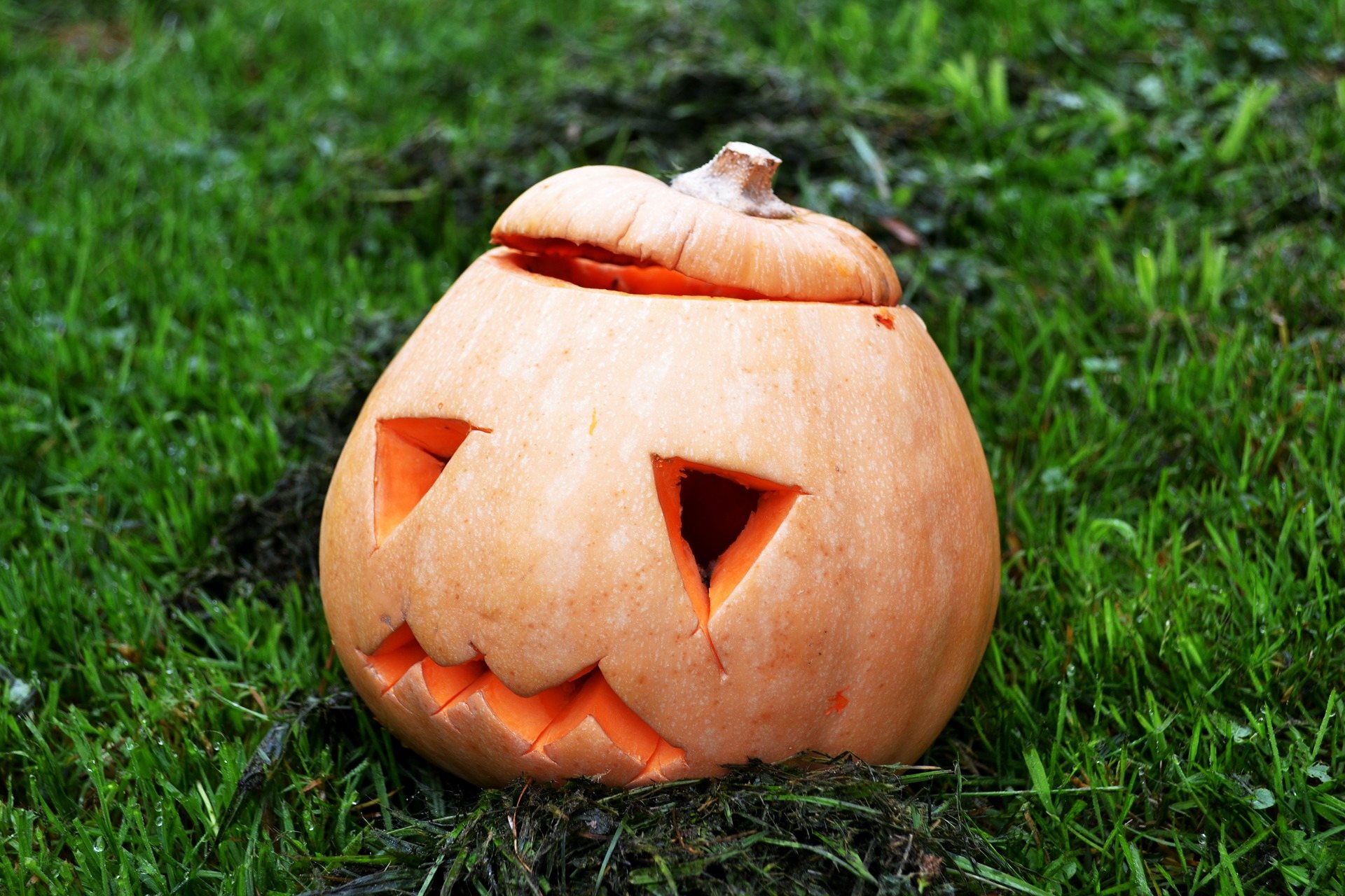 How to Get Over the Halloween Blues - Tips for Dealing with the Post ...